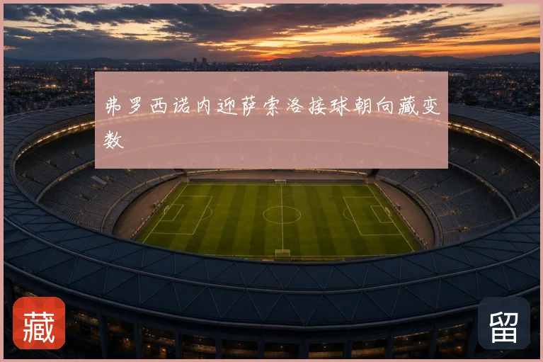 弗罗西诺内迎萨索洛接球朝向藏变数